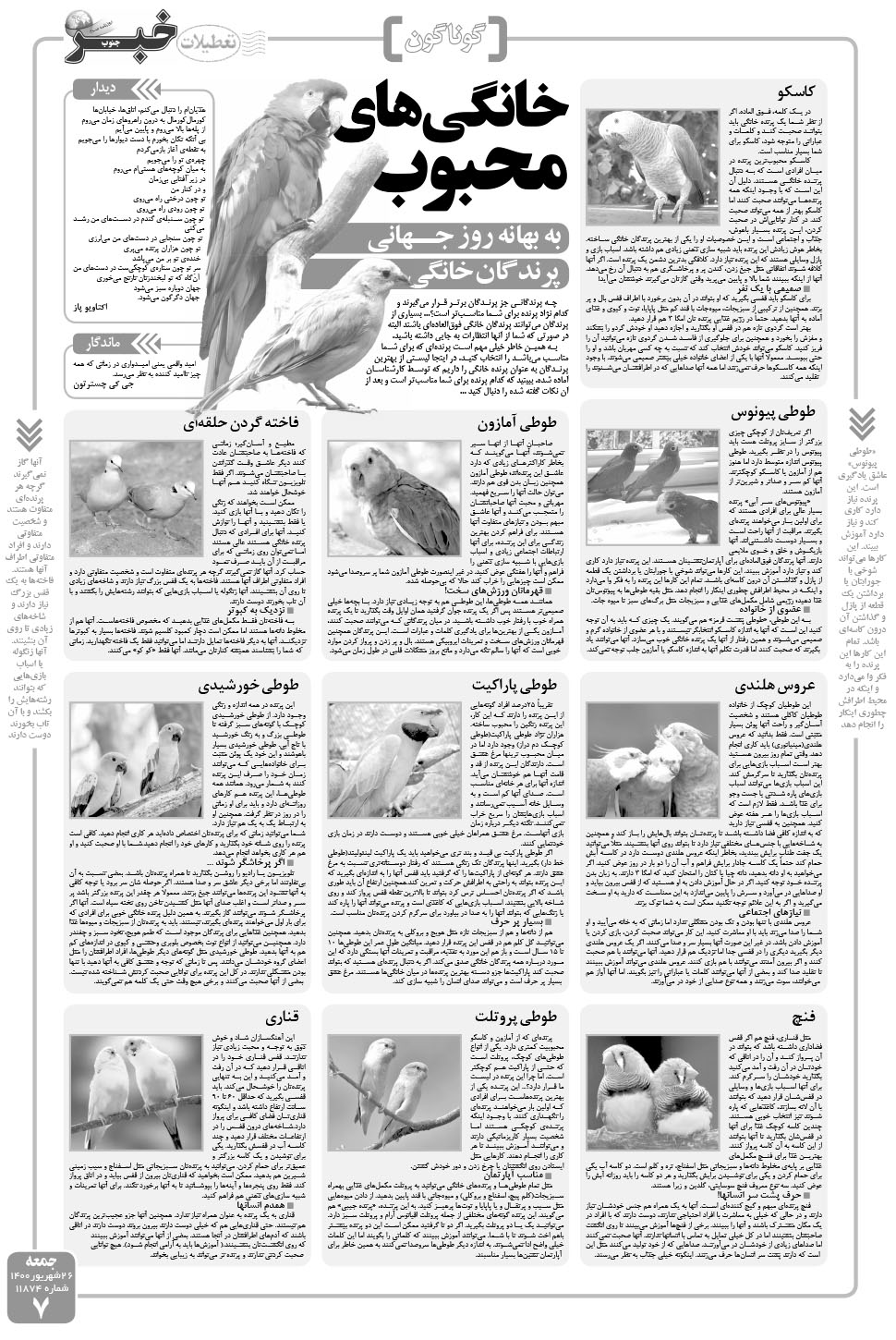 مشاهده صفحه ۷ روزنامه خبرجنوب تاریخ ۲۶  سال ۱۴۰۰