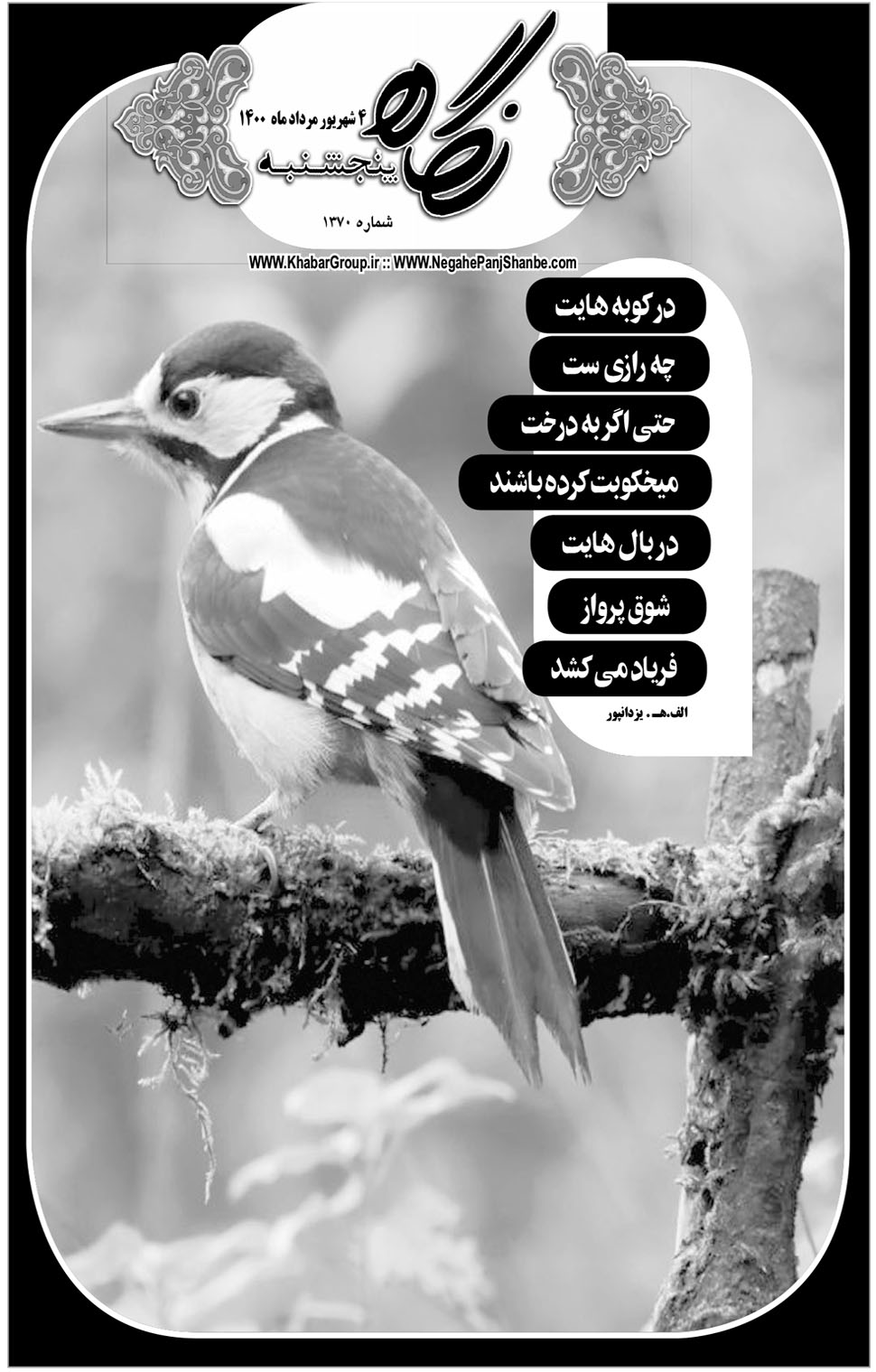 مشاهده صفحه ۱۷ روزنامه خبرجنوب تاریخ ۴  سال ۱۴۰۰