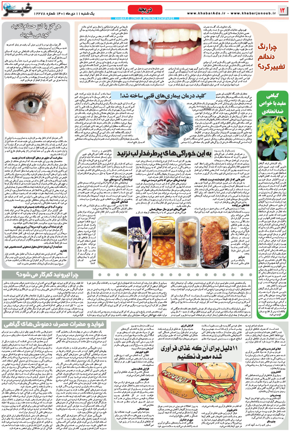 مشاهده صفحه ۱۲ روزنامه خبرجنوب تاریخ ۱۱ دی سال ۱۴۰۱