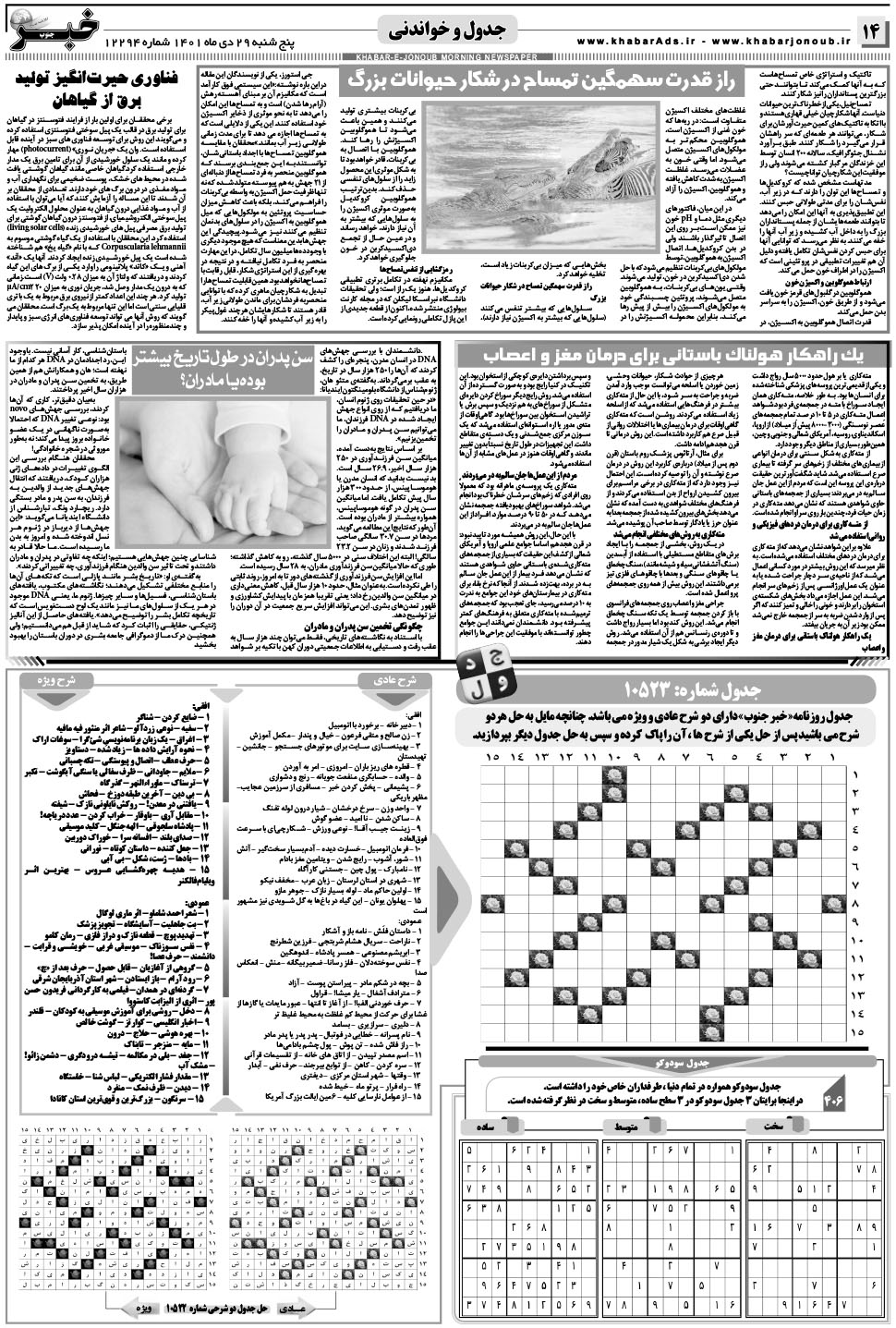 مشاهده صفحه ۱۴ روزنامه خبرجنوب تاریخ ۲۹ دی سال ۱۴۰۱