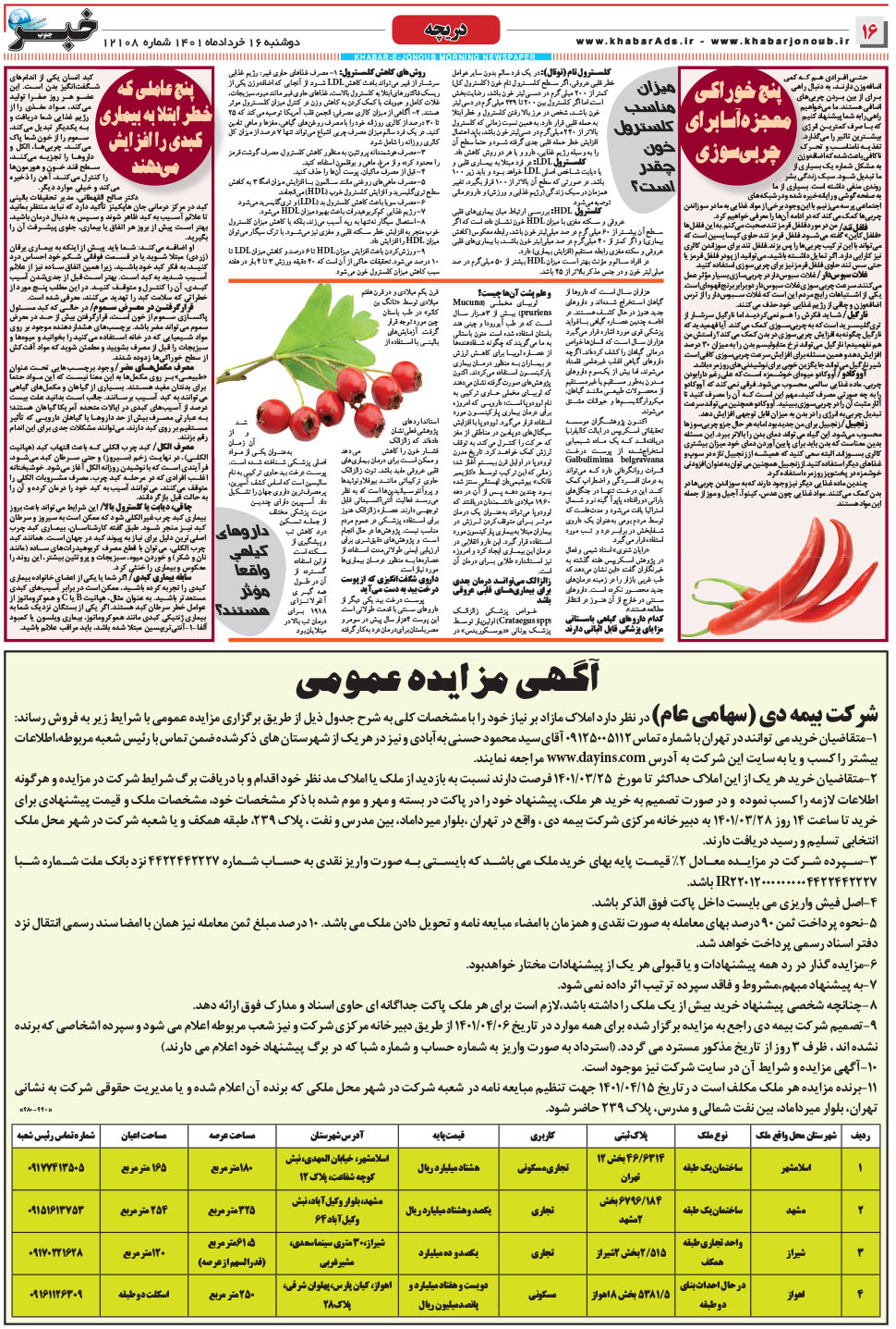 مشاهده صفحه ۱۶ روزنامه خبرجنوب تاریخ ۱۶  سال ۱۴۰۱