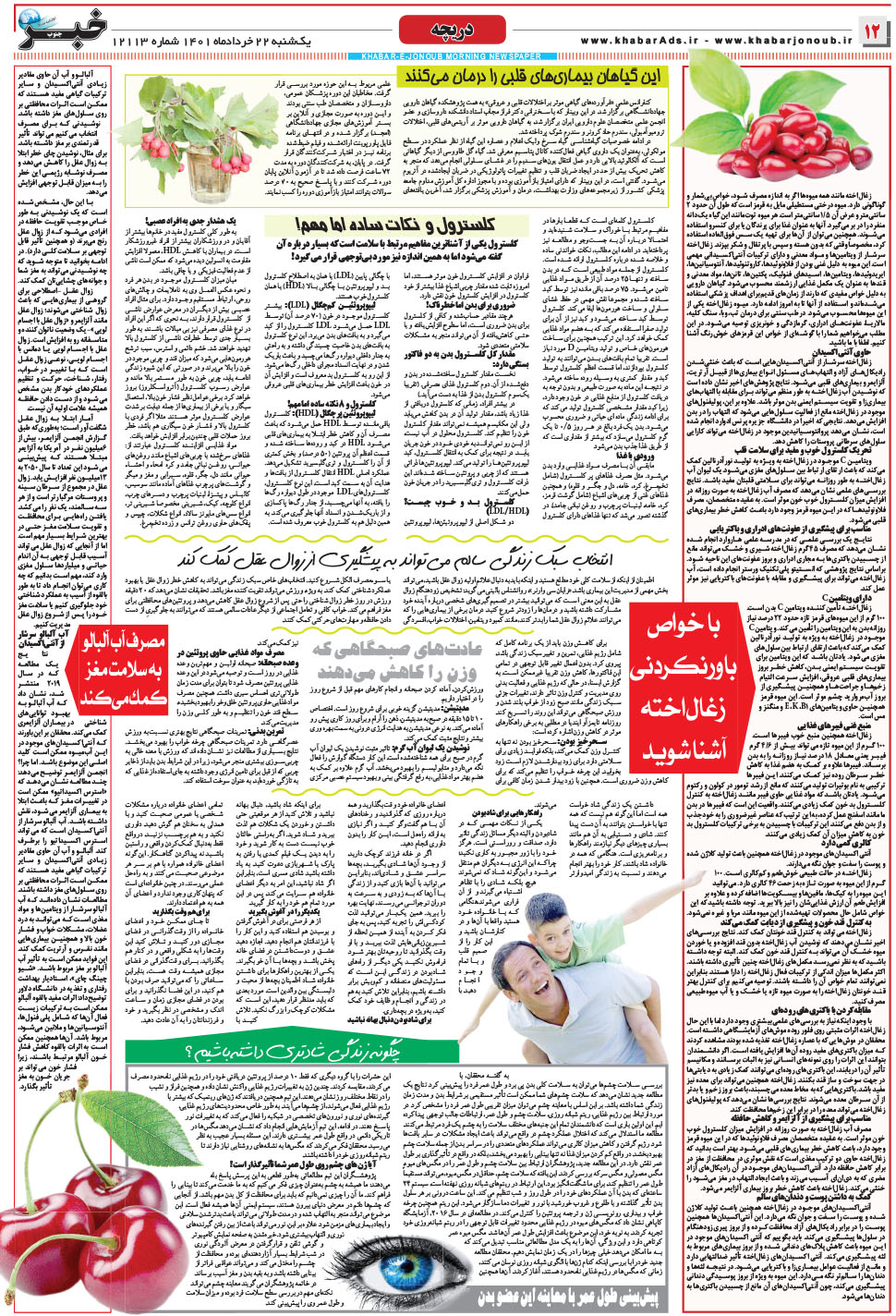 مشاهده صفحه ۱۲ روزنامه خبرجنوب تاریخ ۲۲  سال ۱۴۰۱