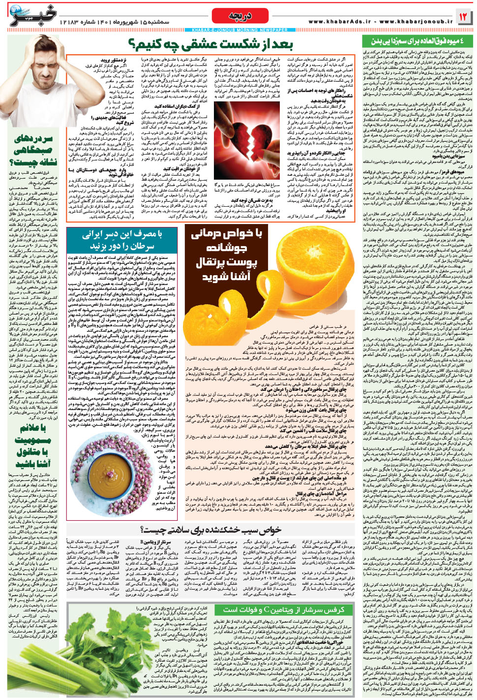 مشاهده صفحه ۱۲ روزنامه خبرجنوب تاریخ ۱۵  سال ۱۴۰۱