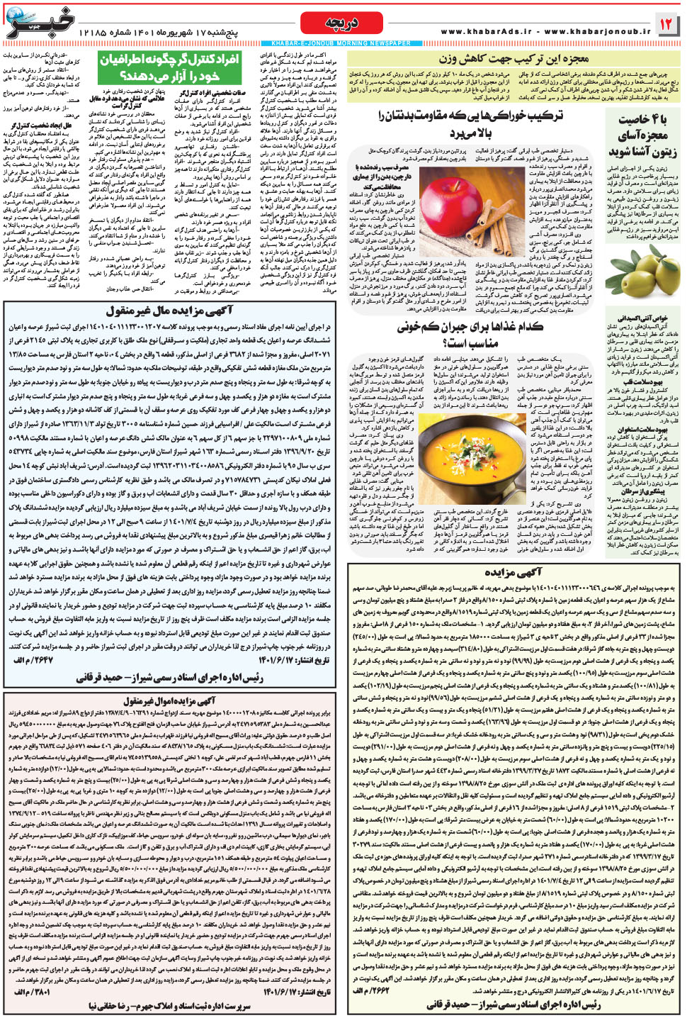 مشاهده صفحه ۱۲ روزنامه خبرجنوب تاریخ ۱۷  سال ۱۴۰۱