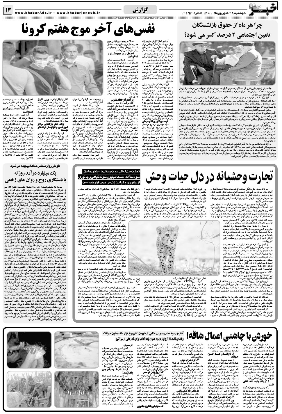 مشاهده صفحه ۱۳ روزنامه خبرجنوب تاریخ ۲۸  سال ۱۴۰۱
