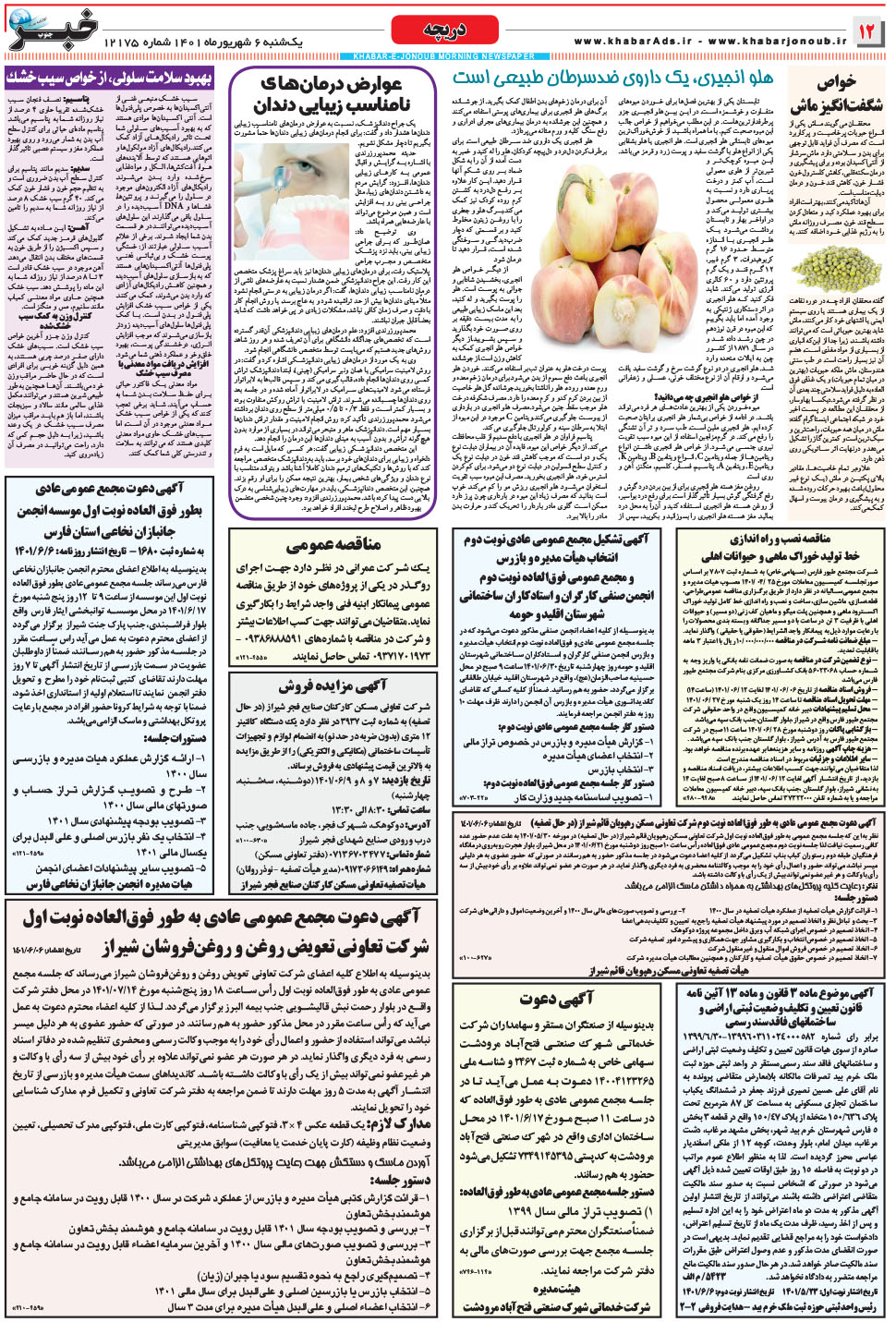 مشاهده صفحه ۱۲ روزنامه خبرجنوب تاریخ ۶  سال ۱۴۰۱
