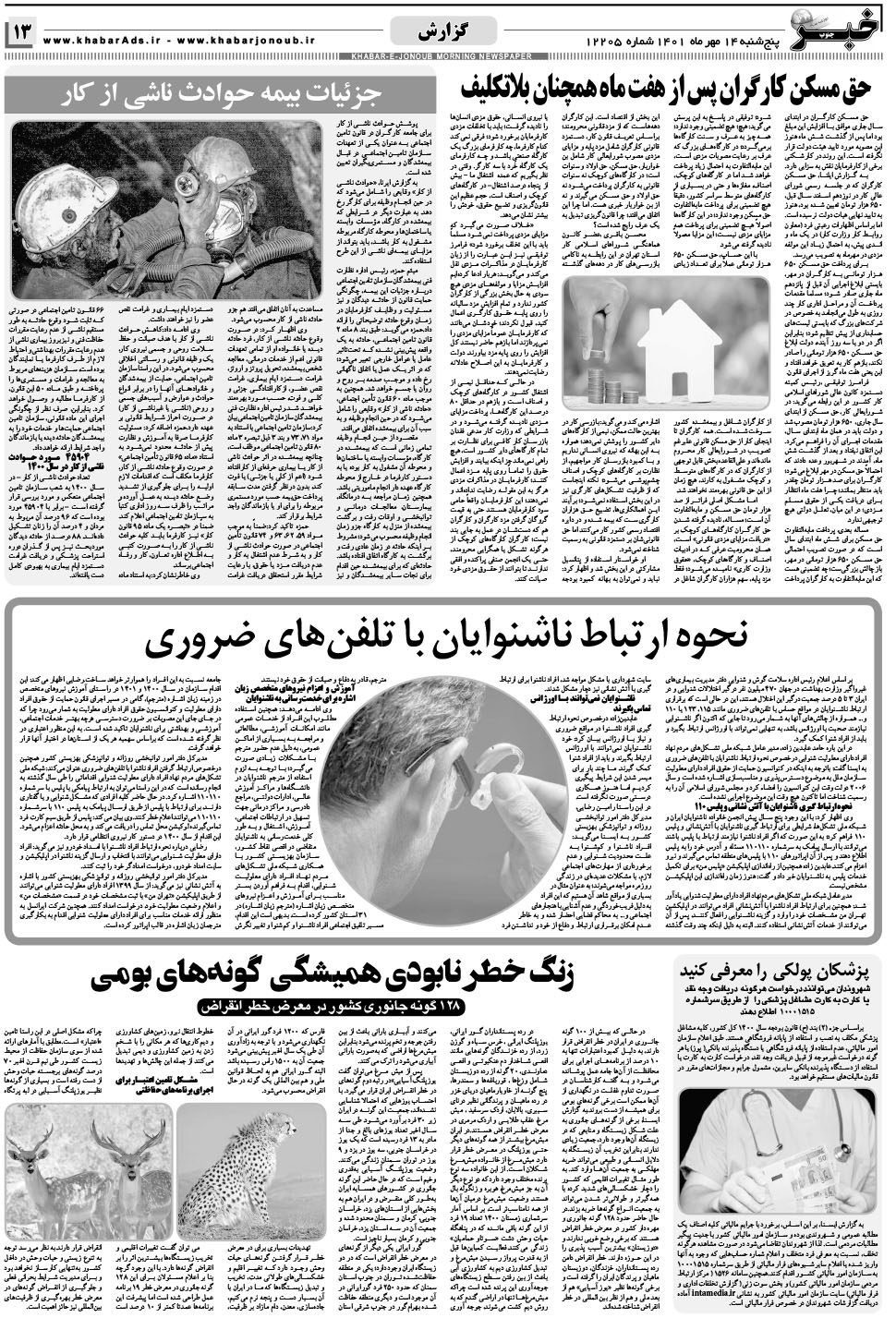 مشاهده صفحه ۱۳ روزنامه خبرجنوب تاریخ ۱۴  سال ۱۴۰۱