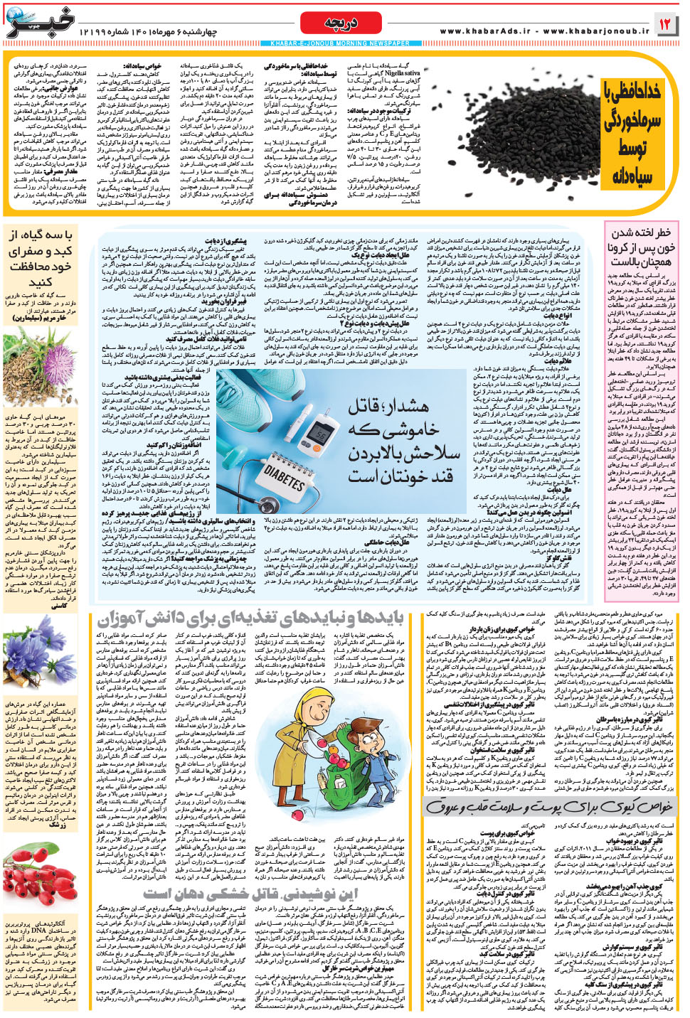 مشاهده صفحه ۱۲ روزنامه خبرجنوب تاریخ ۶  سال ۱۴۰۱