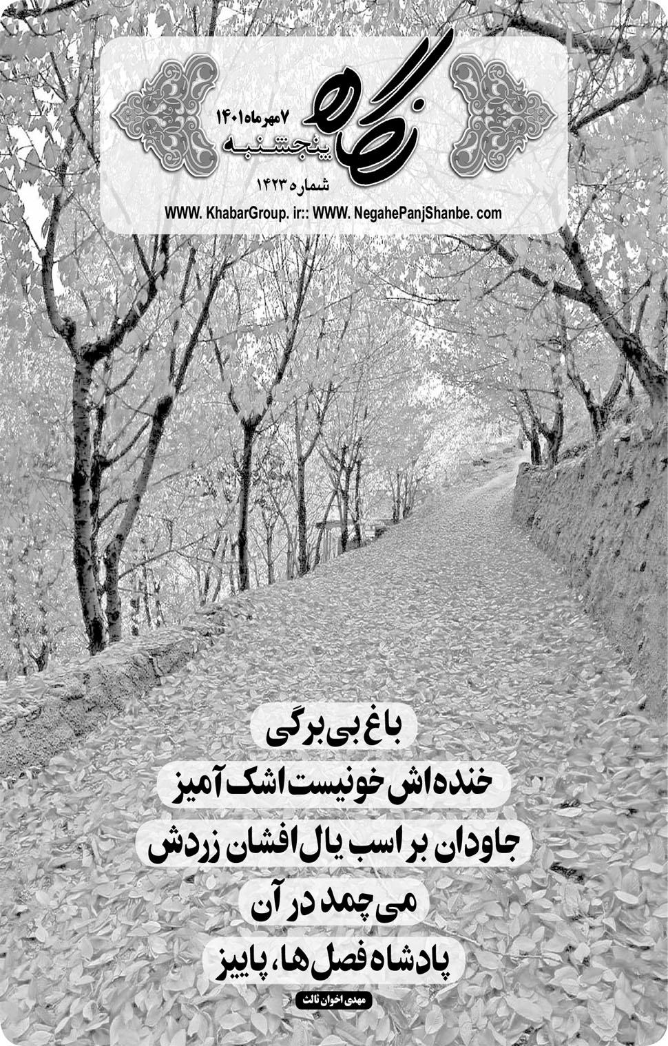 مشاهده صفحه ۱۷ روزنامه خبرجنوب تاریخ ۷  سال ۱۴۰۱