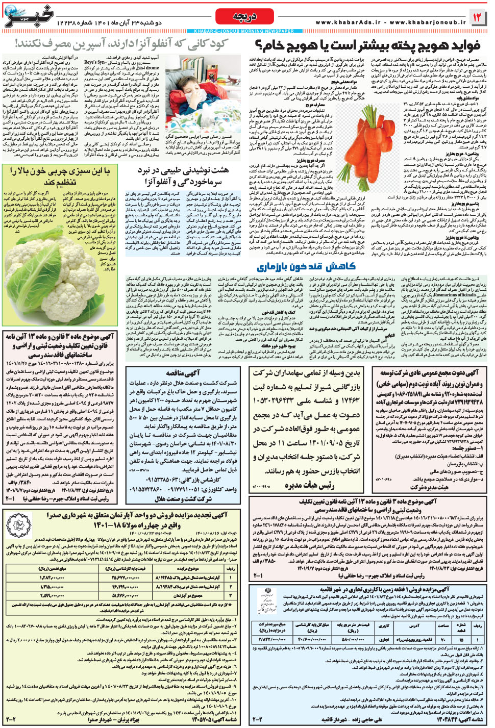 مشاهده صفحه ۱۲ روزنامه خبرجنوب تاریخ ۲۳  سال ۱۴۰۱