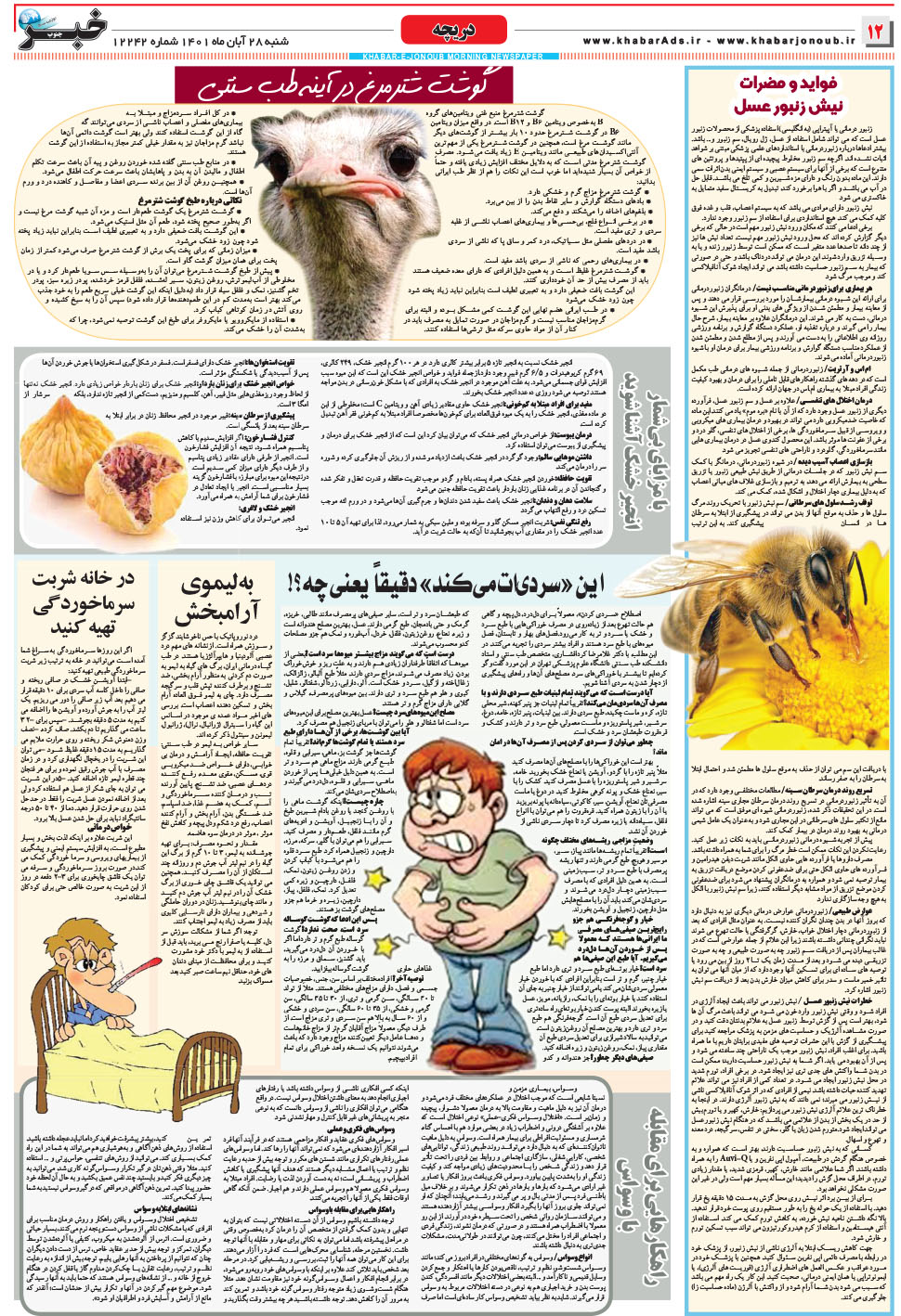 مشاهده صفحه ۱۲ روزنامه خبرجنوب تاریخ ۲۸  سال ۱۴۰۱
