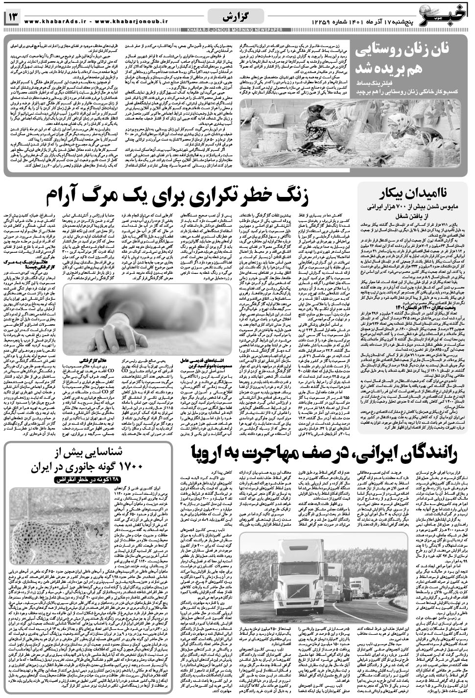 مشاهده صفحه ۱۳ روزنامه خبرجنوب تاریخ ۱۷  سال ۱۴۰۱