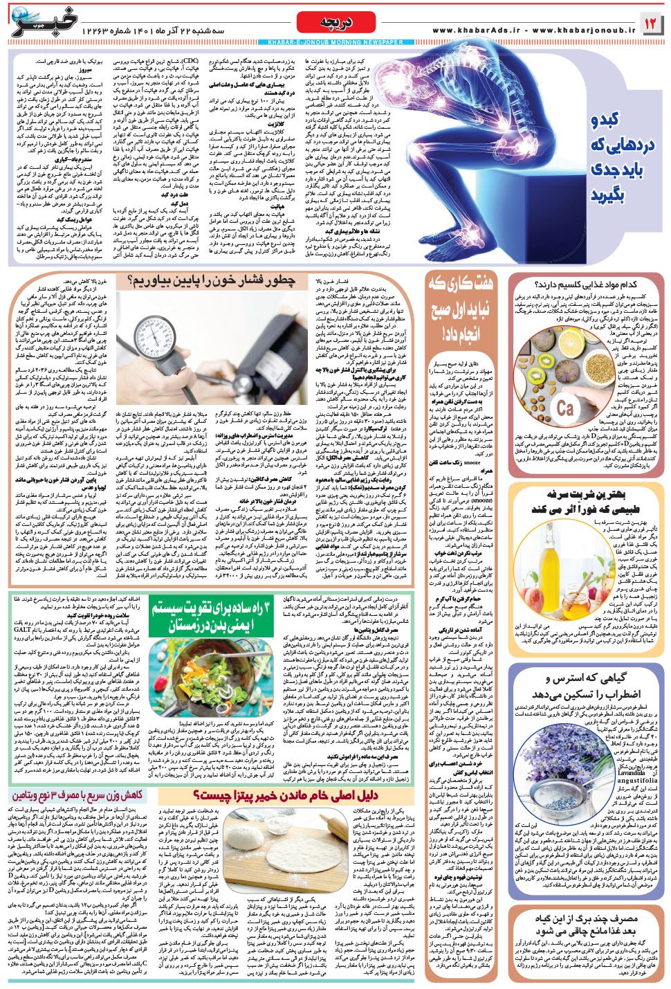 مشاهده صفحه ۱۲ روزنامه خبرجنوب تاریخ ۲۲  سال ۱۴۰۱