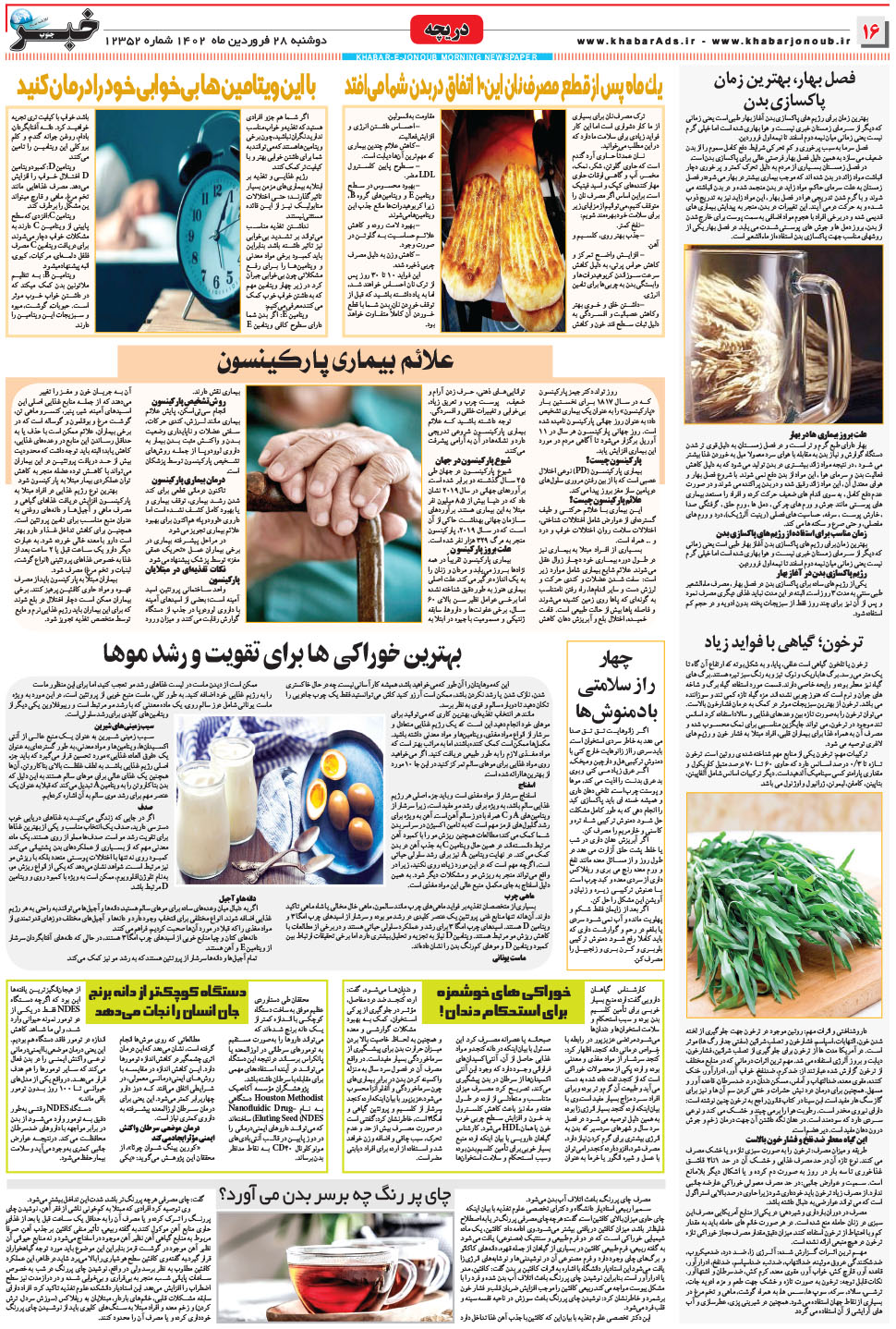 مشاهده صفحه ۱۶ روزنامه خبرجنوب تاریخ ۲۸  سال ۱۴۰۲