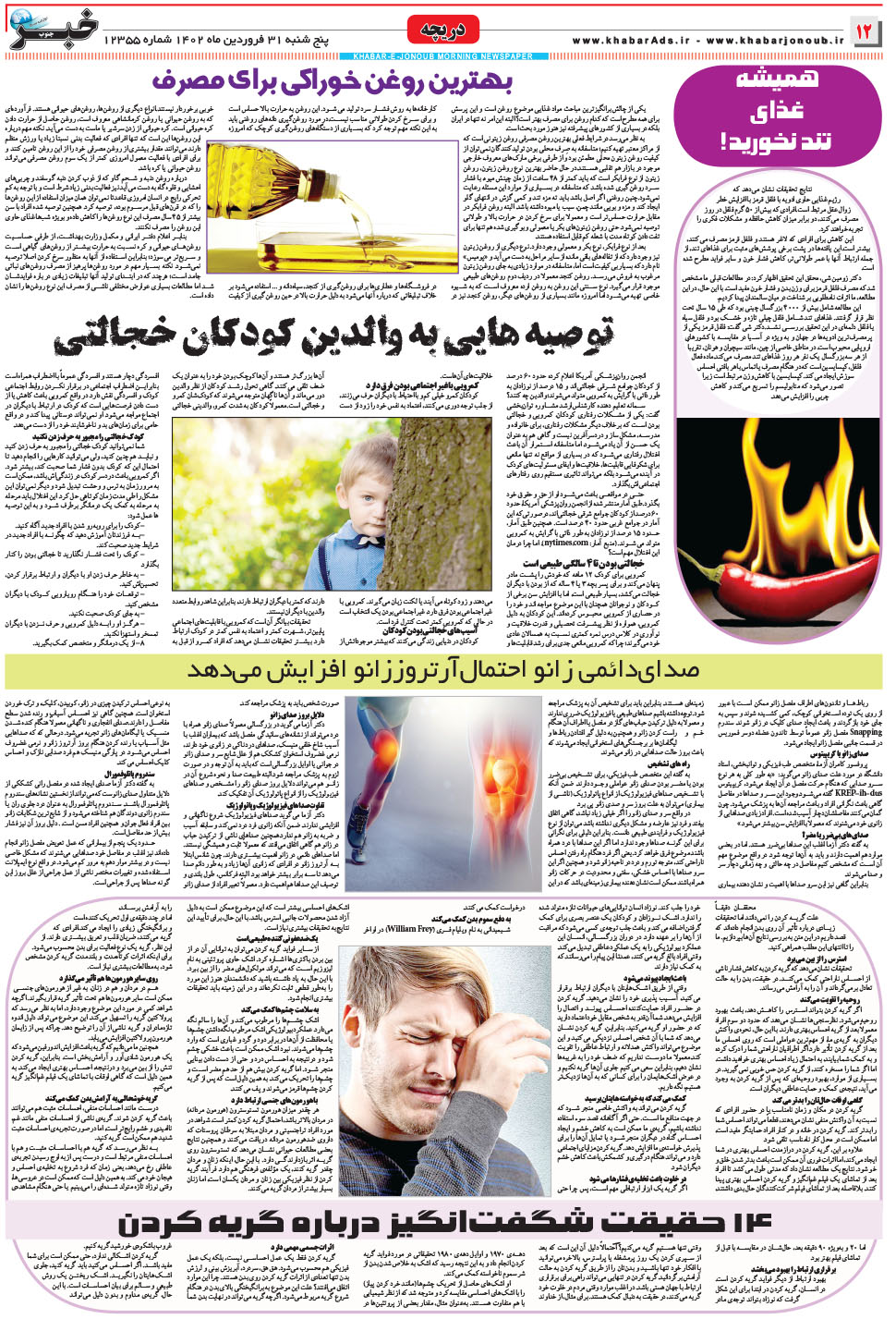 مشاهده صفحه ۱۲ روزنامه خبرجنوب تاریخ ۳۱  سال ۱۴۰۲