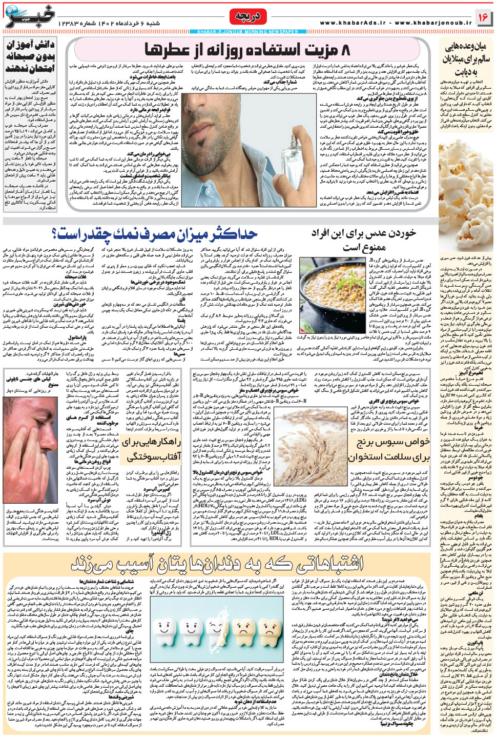 مشاهده صفحه ۱۶ روزنامه خبرجنوب تاریخ ۶  سال ۱۴۰۲