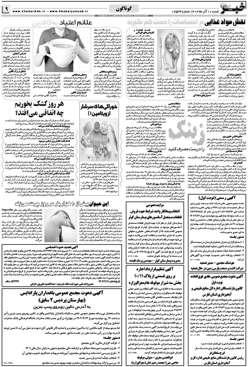 مشاهده صفحه ۹ روزنامه خبرجنوب تاریخ ۱۱  سال ۱۴۰۲