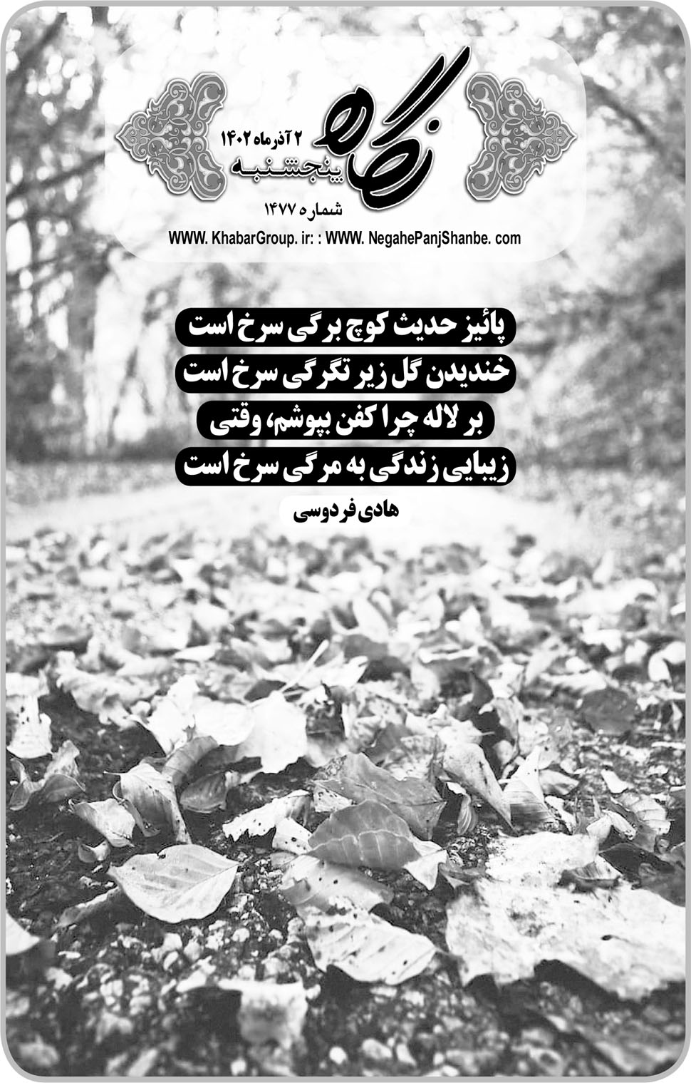 مشاهده صفحه ۱۷ روزنامه خبرجنوب تاریخ ۲  سال ۱۴۰۲