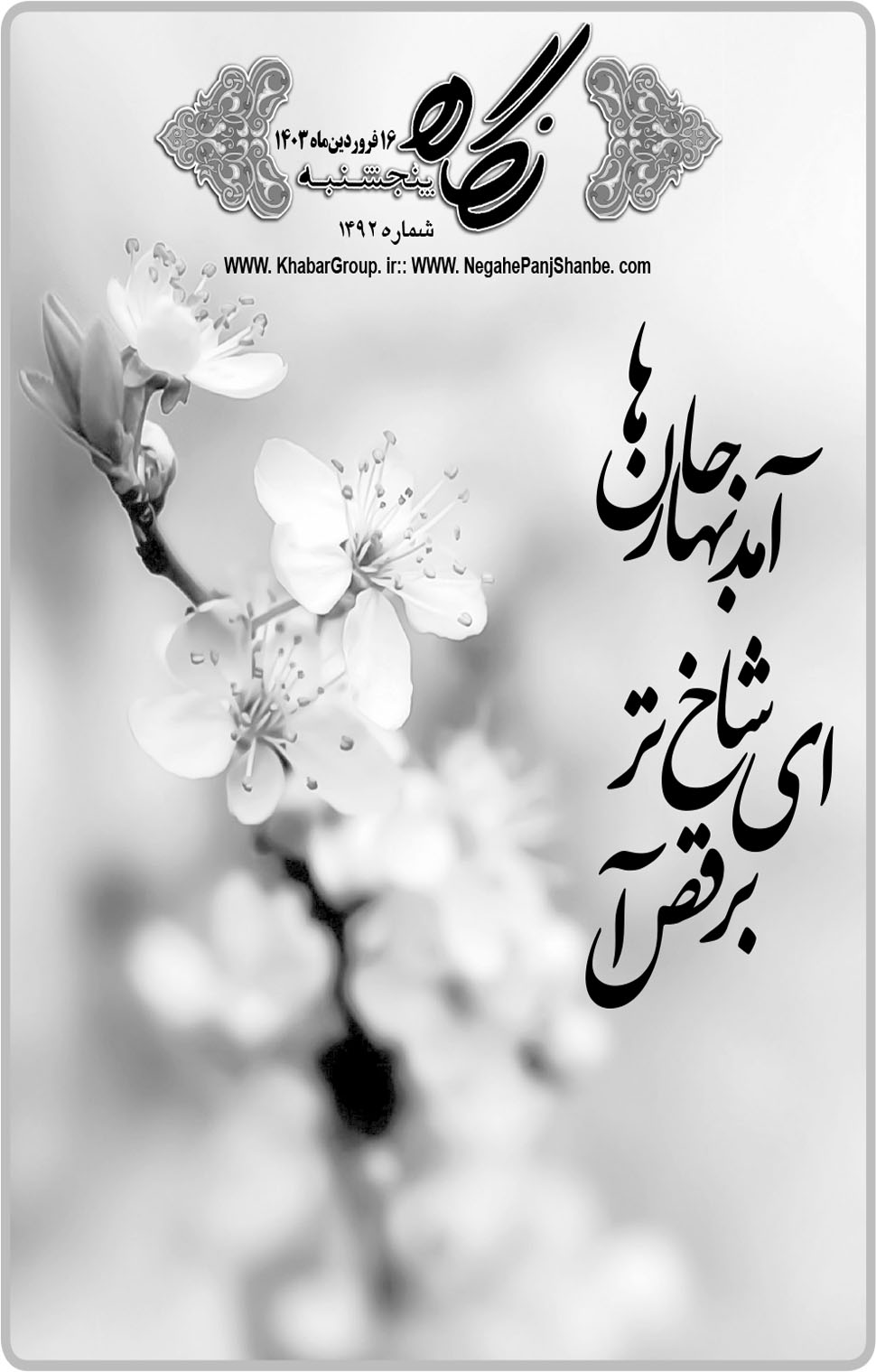 مشاهده صفحه ۱۷ روزنامه خبرجنوب تاریخ ۱۶  سال ۱۴۰۳