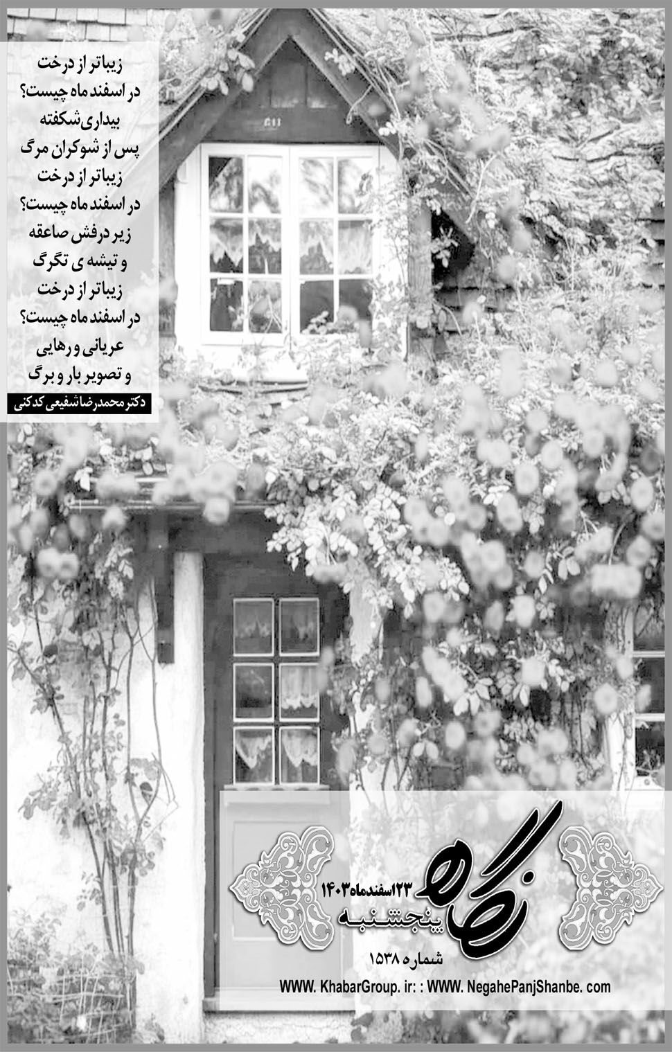 مشاهده صفحه ۱۷ روزنامه خبرجنوب تاریخ ۲۳ اسفند سال ۱۴۰۳