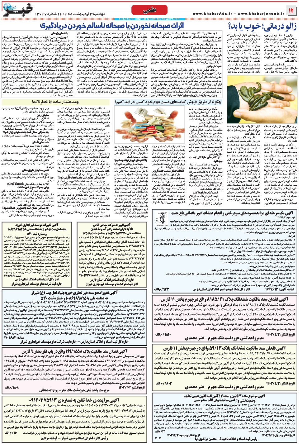 مشاهده صفحه ۱۲ روزنامه خبرجنوب تاریخ ۳  سال ۱۴۰۳