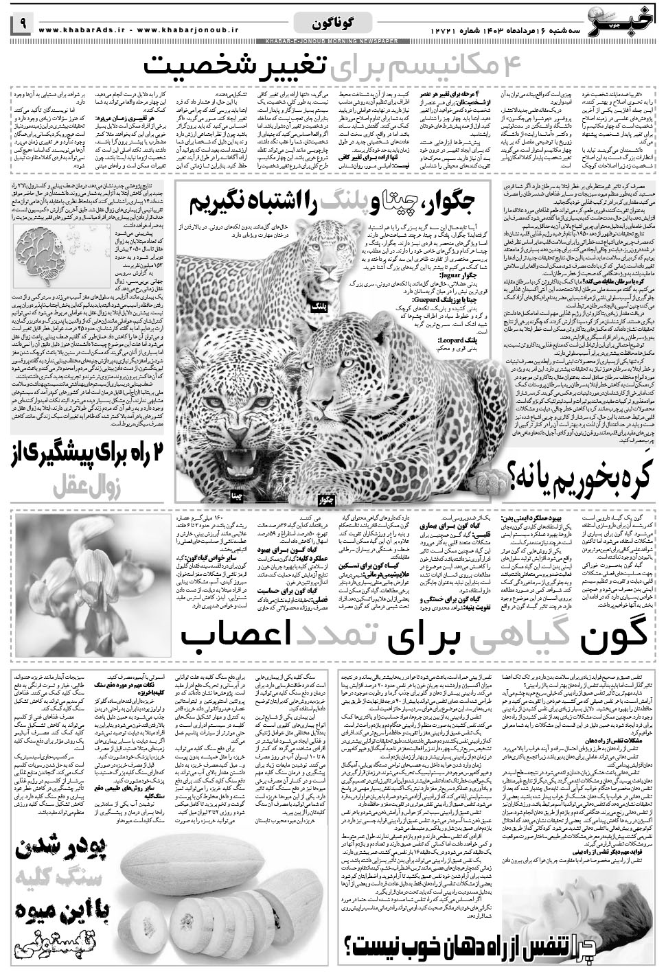 مشاهده صفحه ۹ روزنامه خبرجنوب تاریخ ۱۶  سال ۱۴۰۳