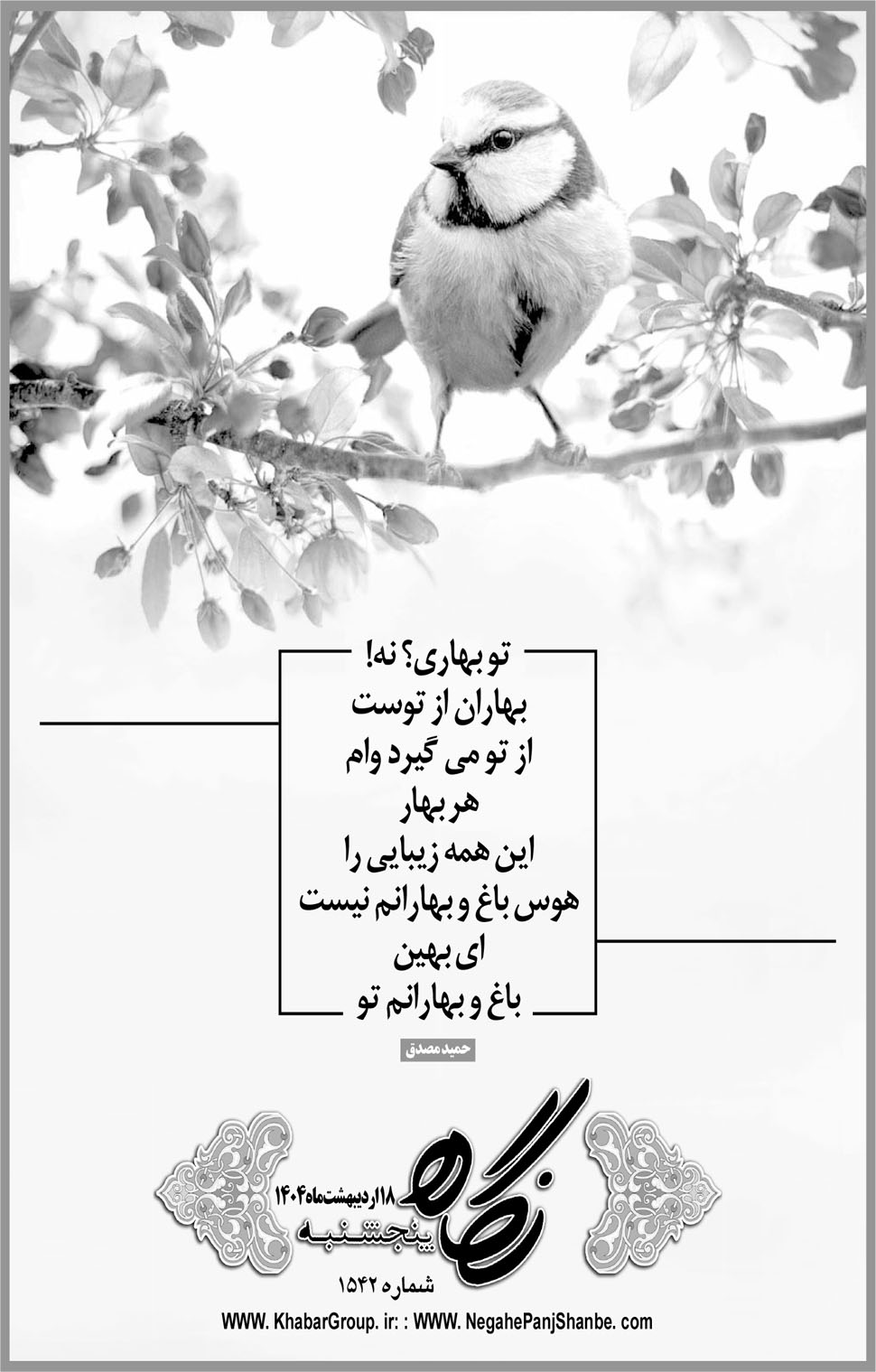 مشاهده صفحه ۱۷ روزنامه خبرجنوب تاریخ ۱۸  سال ۱۴۰۴